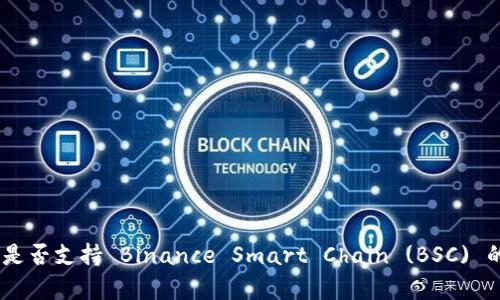 Tokenim 是否支持 Binance Smart Chain (BSC) 的全面解析