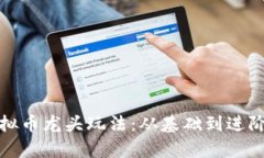 全面解析虚拟币龙头玩法