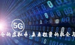马斯克重仓的虚拟币：未