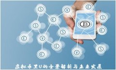 虚拟币黑U的全景解析与未