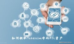 如何提取Tokenim中的FIL资产