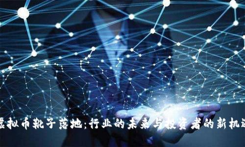 虚拟币靴子落地：行业的未来与投资者的新机遇