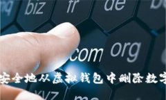 如何安全地从虚拟钱包中