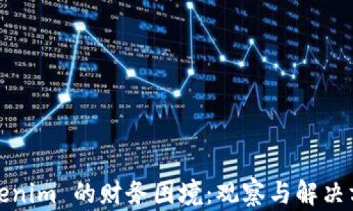 
Tokenim 的财务困境：观察与解决方案