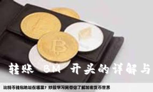 Tokenim 转账 BM 开头的详解与实用指南