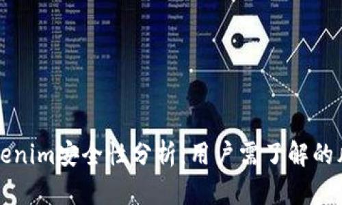 手机上安装Tokenim安全性分析：用户需了解的风险与防护措施