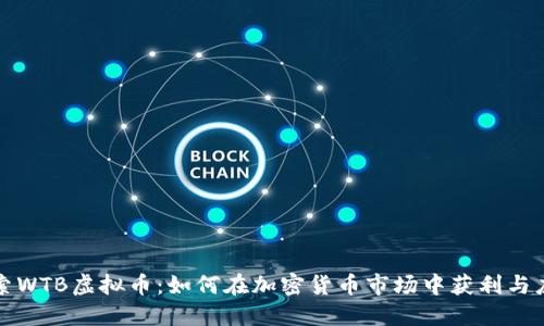 探索WTB虚拟币：如何在加密货币市场中获利与应用