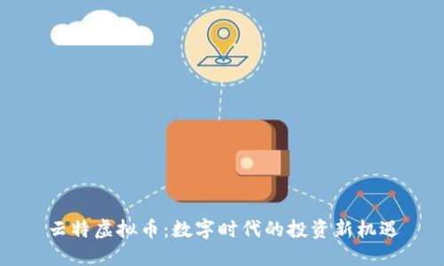 云特虚拟币:数字时代的投资新机遇