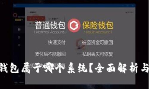 Tokenim钱包属于哪个系统？全面解析与使用指南