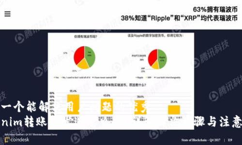 思考一个能解决用户问题的优秀  
Tokenim转账未发送怎么办？详解解决步骤与注意事项