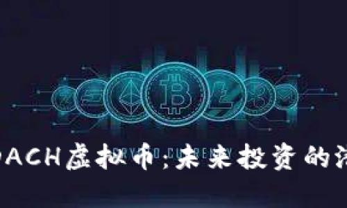 深入探索DACH虚拟币：未来投资的潜力与风险