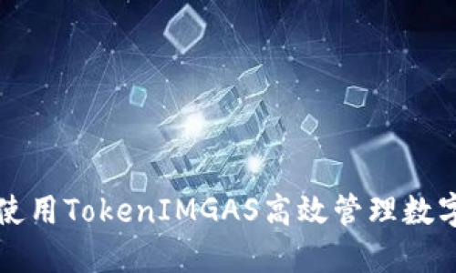 如何使用TokenIMGAS高效管理数字资产