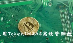 如何使用TokenIMGAS高效管理