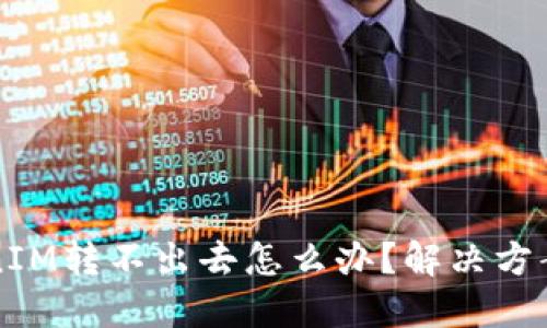 冷钱包TokenIM转不出去怎么办？解决方案与操作指南