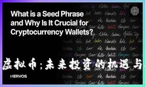 EDG虚拟币：未来投资的机遇与挑战