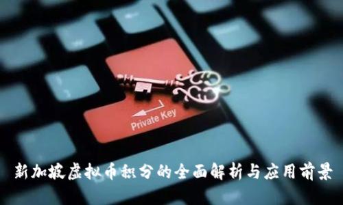 新加坡虚拟币积分的全面解析与应用前景