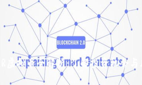  XBR虚拟币全解析：了解投资机会与风险