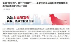 如何购买Kishu币：TokenTok