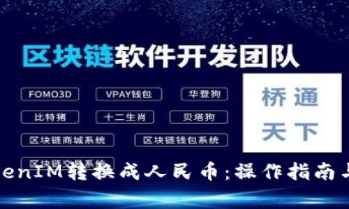 如何将TokenIM转换成人民币：操作指南与注意事项