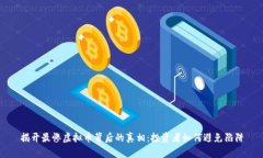 揭开最惨虚拟币背后的真