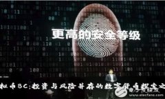 虚拟币BC：投资与风险并存