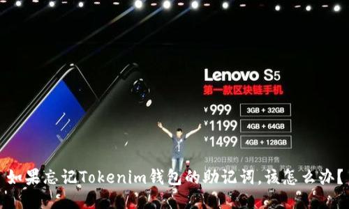 如果忘记Tokenim钱包的助记词，该怎么办？