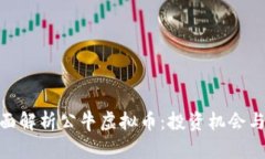 : 全面解析公牛虚拟币：投资机会与风险