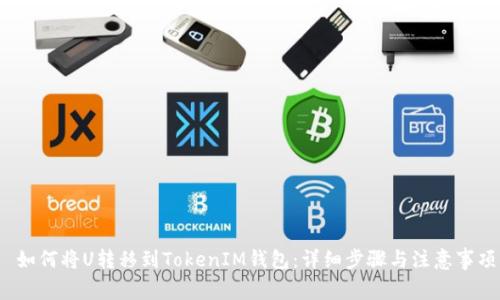  如何将U转移到TokenIM钱包：详细步骤与注意事项
