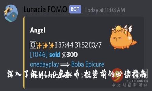 深入了解MLLO虚拟币：投资前的必读指南