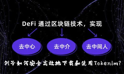 例子如何安全高效地下载和使用Tokenim?