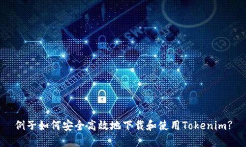 例子如何安全高效地下载和使用Tokenim?