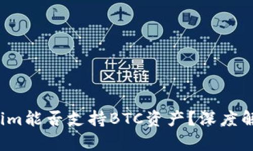 2019年Tokenim能否支持BTC资产？深度解析与未来展望