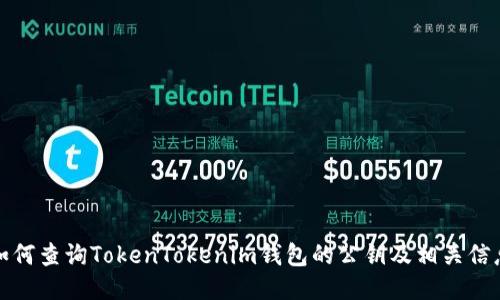如何查询TokenTokenim钱包的公钥及相关信息