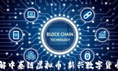 深入了解中泰链虚拟币：