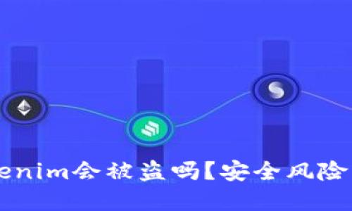 手机联网时Tokenim会被盗吗？安全风险与防护措施详解