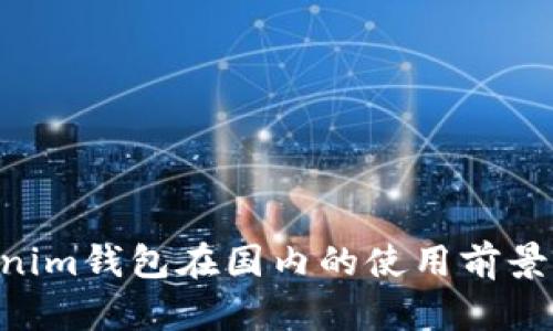 Tokentokenim钱包在国内的使用前景与问题分析