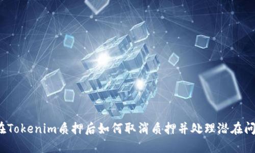  在Tokenim质押后如何取消质押并处理潜在问题