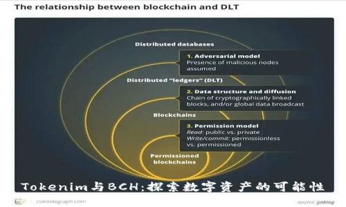 Tokenim与BCH：探索数字资产的可能性