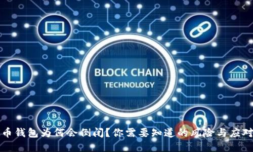 虚拟币钱包为何会倒闭？你需要知道的风险与应对策略