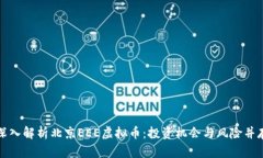 深入解析北京EEE虚拟币：投资机会与风险并存