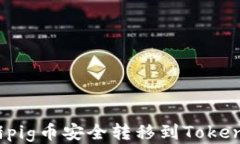 如何将猪pig币安全转移到