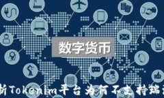 深入解析Tokenim平台为何不