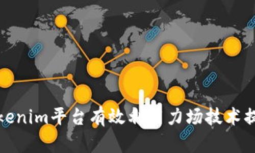 如何通过Tokenim平台有效利用力场技术提升项目价值