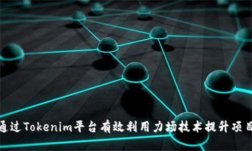 如何通过Tokenim平台有效利用力场技术提升项目价值