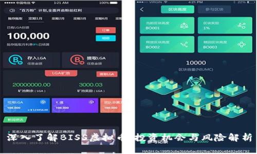 深入了解BISS虚拟币：投资机会与风险解析