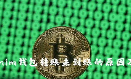 了解Tokenim钱包转账未到账的原因及解决方案