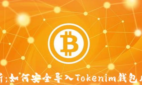 
全面解析：如何安全导入Tokenim钱包风险地址