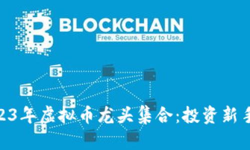 baioti2023年虚拟币龙头集合：投资新手必读指南