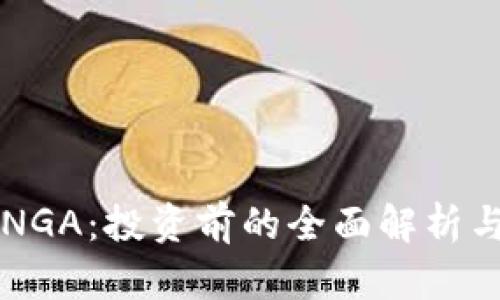 虚拟货币NGA：投资前的全面解析与风险管理