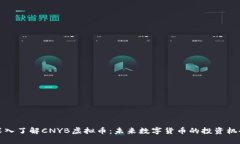 深入了解CNYB虚拟币：未来
